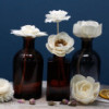 Fleurs naturelles pour diffuseur - Grand œillet sur ficelle