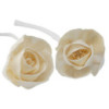 Fleurs naturelles pour diffuseur - Grande rose sur ficelle