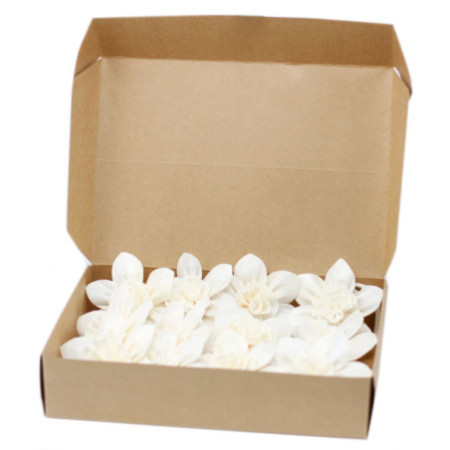 Fleurs naturelles pour diffuseur - Grand lys sur ficelle