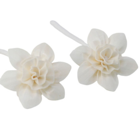 Fleurs naturelles pour diffuseur - Grand lys sur ficelle