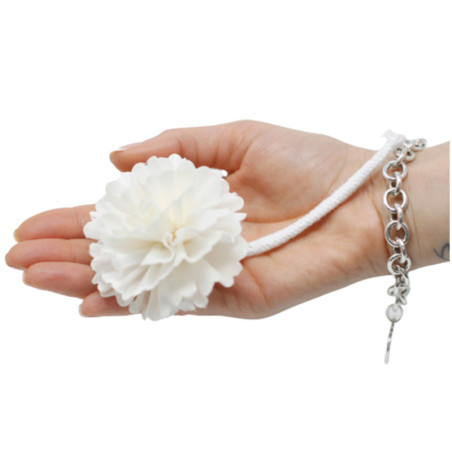 Fleurs naturelles pour diffuseur - œillet moyen sur ficelle
