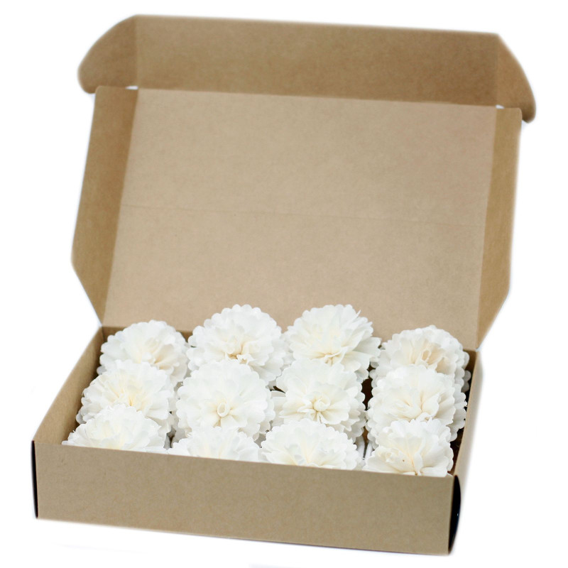 Fleurs naturelles pour diffuseur - œillet moyen sur ficelle