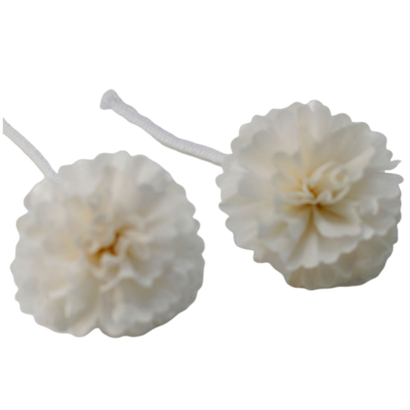 Fleurs naturelles pour diffuseur - œillet moyen sur ficelle