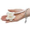 Fleurs naturelles pour diffuseur - Petit lys sur ficelle