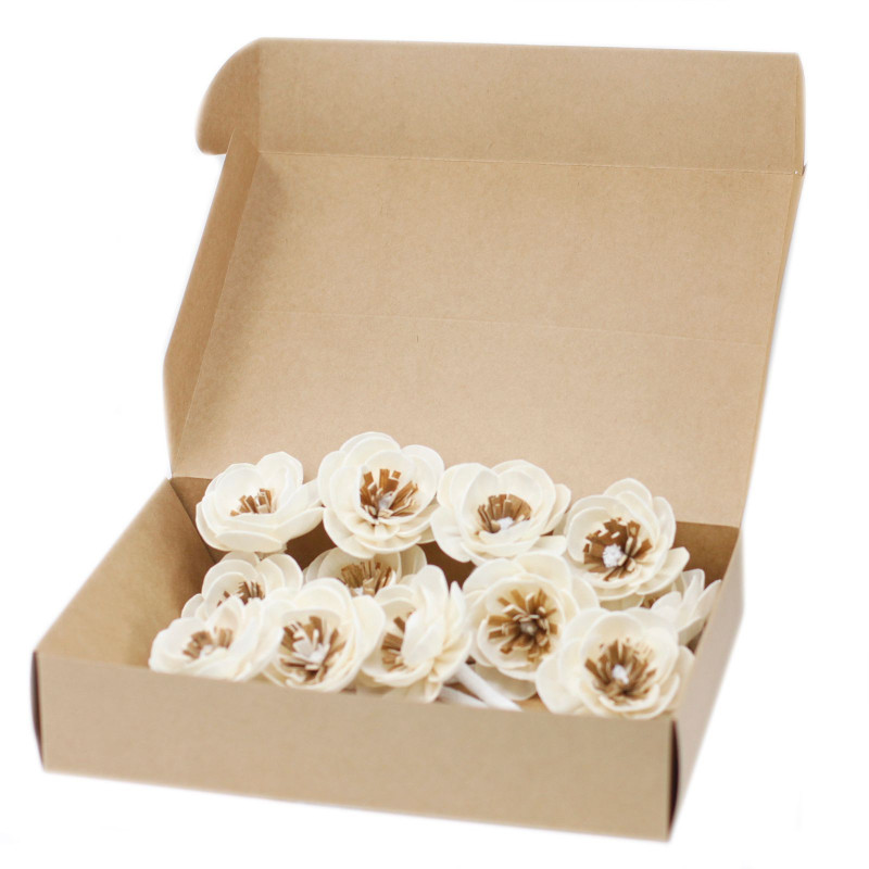 Fleurs naturelles pour diffuseur - Petit coquelicot sur ficelle