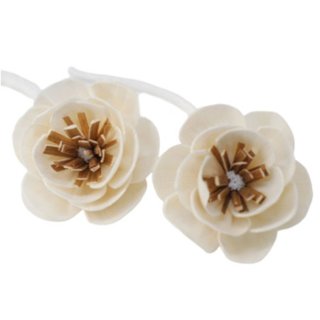 Fleurs naturelles pour diffuseur - Petit coquelicot sur ficelle