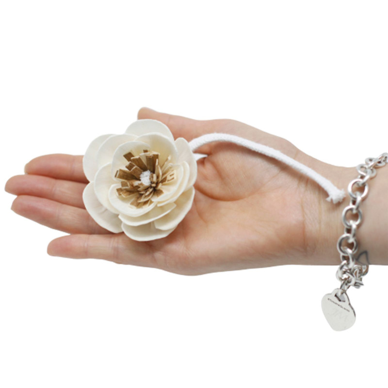 Fleurs naturelles pour diffuseur - Petit coquelicot sur ficelle