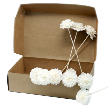 Fleurs naturelles pour diffuseur - œillet sur roseau