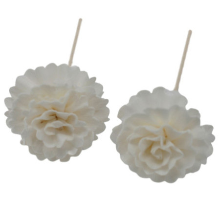 Fleurs naturelles pour diffuseur - œillet sur roseau