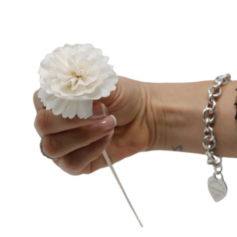 Fleurs naturelles pour diffuseur - œillet sur roseau