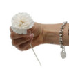 Fleurs naturelles pour diffuseur - œillet sur roseau