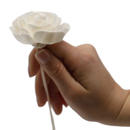Fleurs naturelles pour diffuseur - Rose sur roseau
