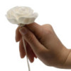 Fleurs naturelles pour diffuseur - Rose sur roseau