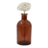 Fleurs naturelles pour diffuseur - Rose sur roseau