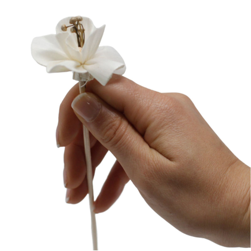 Fleurs naturelles pour diffuseur - Lys sur roseau