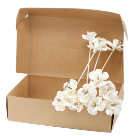 Fleurs naturelles pour diffuseur - Lys sur roseau
