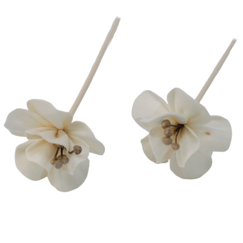 Fleurs naturelles pour diffuseur - Lys sur roseau