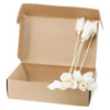 Fleurs naturelles pour diffuseur - Tulipe sur roseau