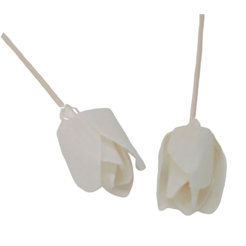Fleurs naturelles pour diffuseur - Tulipe sur roseau