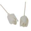 Fleurs naturelles pour diffuseur - Tulipe sur roseau