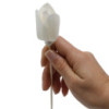 Fleurs naturelles pour diffuseur - Tulipe sur roseau