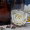 Fleurs naturelles pour diffuseur - Tulipe sur roseau