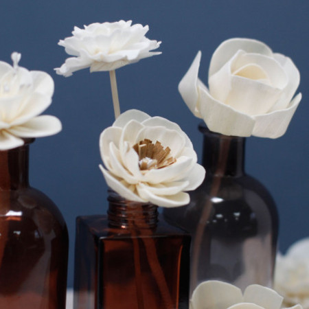 Fleurs naturelles pour diffuseur - Tulipe sur roseau