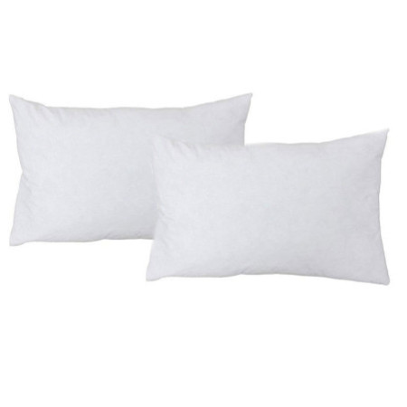 Coussin intérieur 75x50 cm 650gm