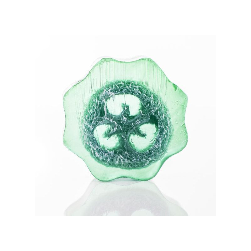 Tranche de savon luffa 100 g - Raisin