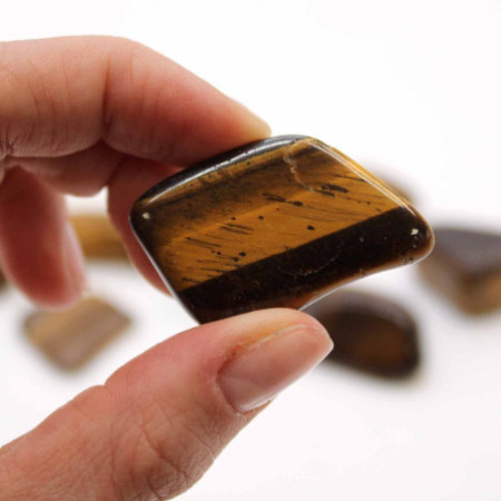 L Tumble Stones - Oeil de tigre - Or